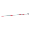 AUTOMATIC SYSTEMS® BL229 Degondable Pole for Barrier (4 meters) [E/0696/189]