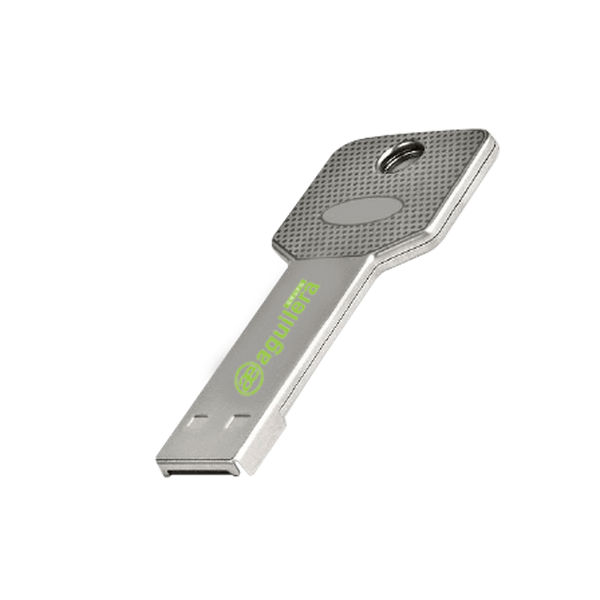 Basic USB key AGUILERA™ [V-MPH]